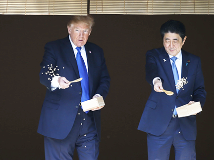 Shinzo Abe and Donald Trump Feeding the Koi (November, 2017)