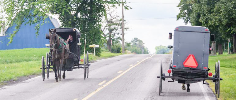 Amish Farmers of New York